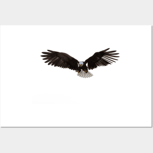 American bald Eagle Posters and Art